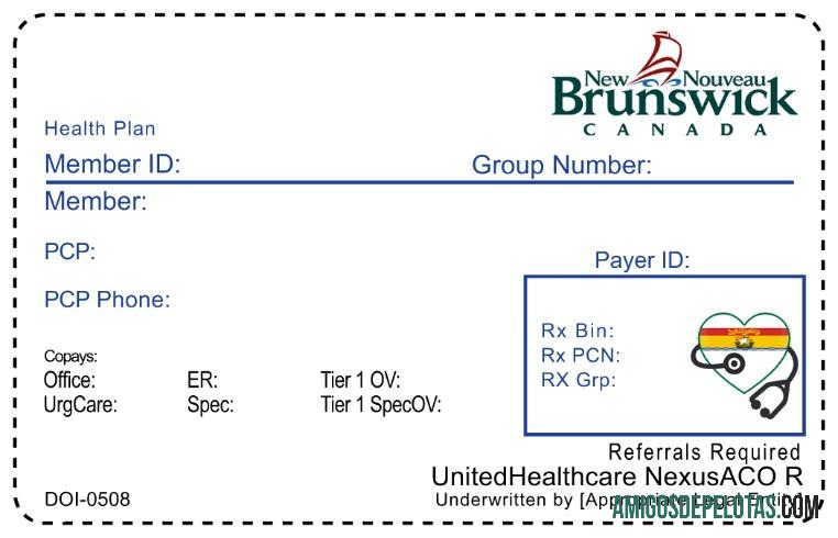 Cartão de seguro saúde de New Brunswick modelo